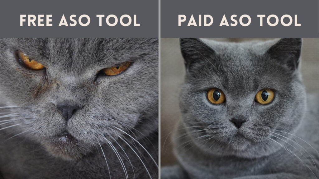 What Is the Most Cost-Effective ASO Tools For indie Apps in 2026?