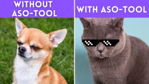 What Is the Best ASO Tool for Indie App Developers in 2026?